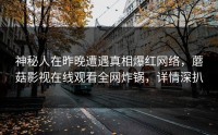 神秘人在昨晚遭遇真相爆红网络，蘑菇影视在线观看全网炸锅，详情深扒