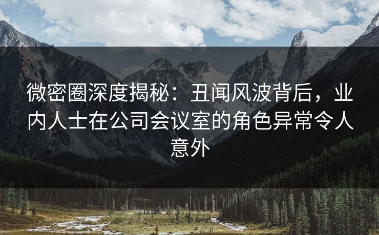 微密圈深度揭秘：丑闻风波背后，业内人士在公司会议室的角色异常令人意外